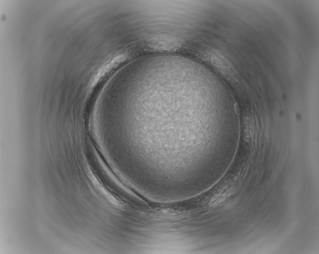 X0000059090634200510172055