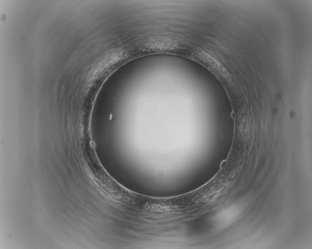 X0000059090635200510172055