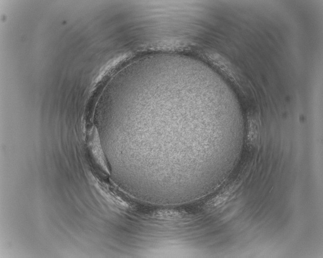 X0000059090636200510172056