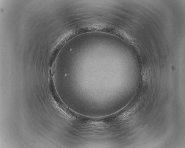 X0000059090637200510172056