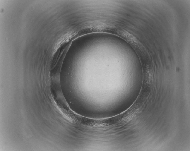 X0000059090638200510172056