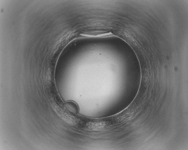 X0000059090639200510172056