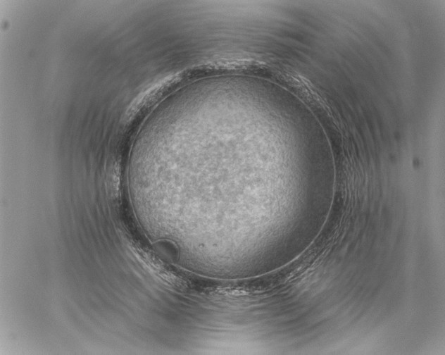 X0000059090640200510172056