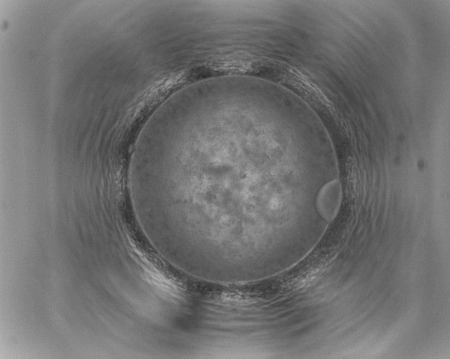 X0000059090641200510172056