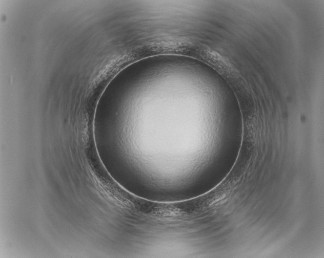 X0000059090642200510172056