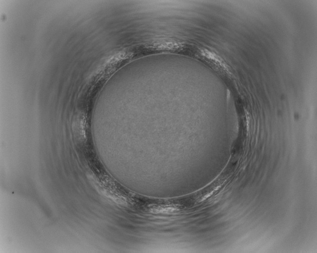 X0000059090643200510172056