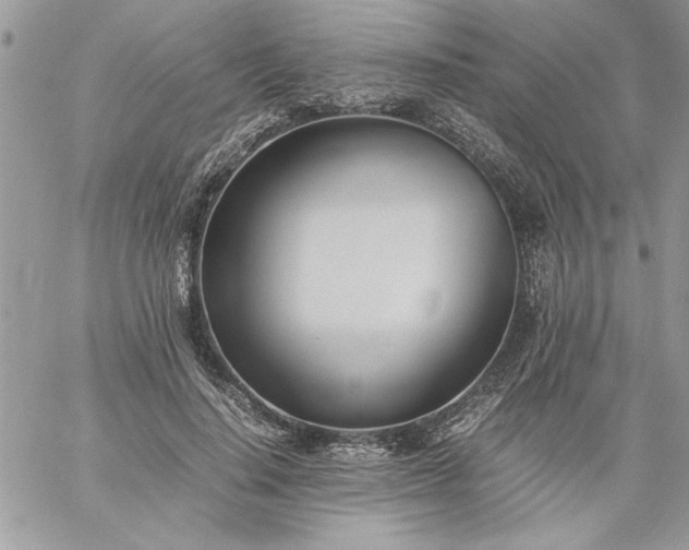 X0000059090644200510172056