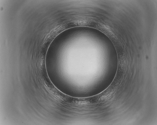 X0000059090645200510172056