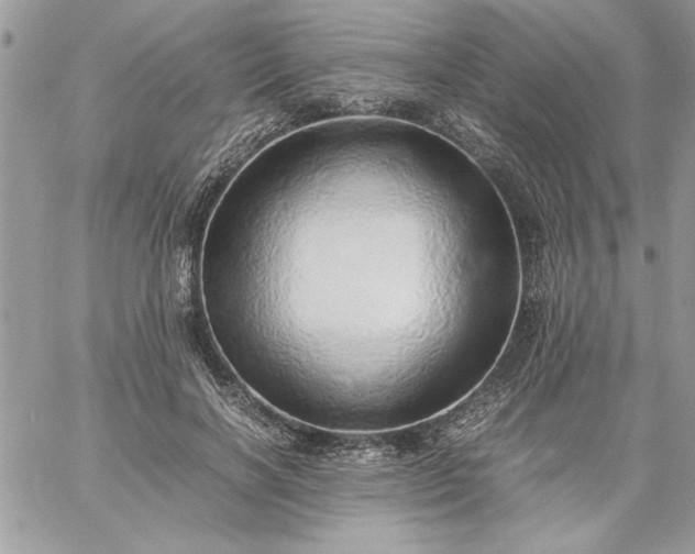 X0000059090646200510172056