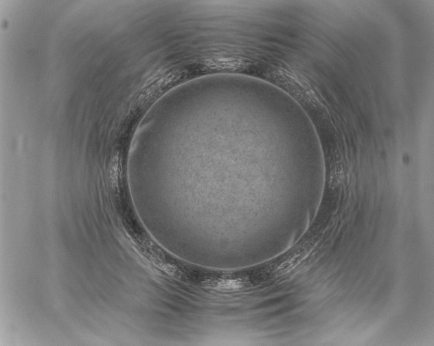 X0000059090647200510172056