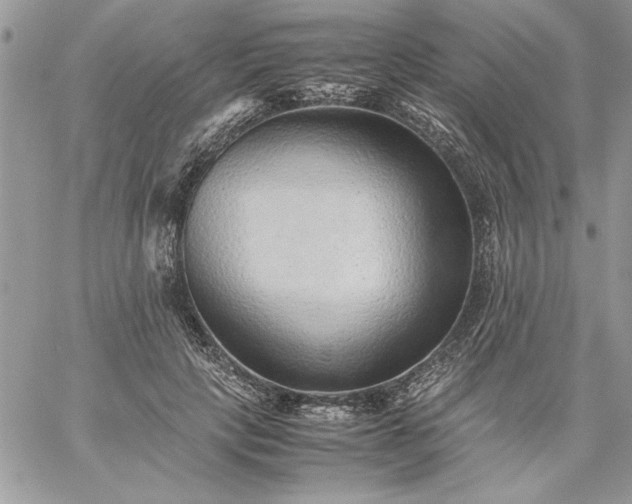 X0000059090649200510172056