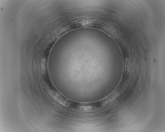 X0000059090650200510172056