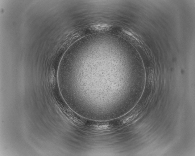 X0000059090651200510172056