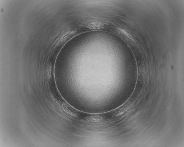 X0000059090652200510172056