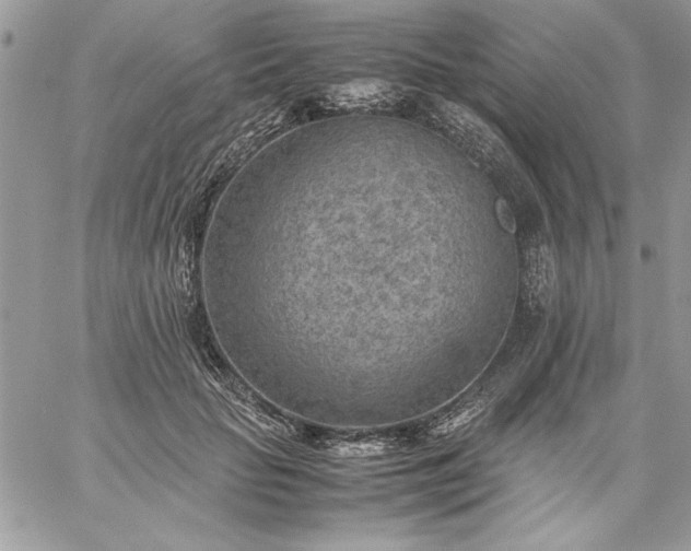 X0000059090653200510172056