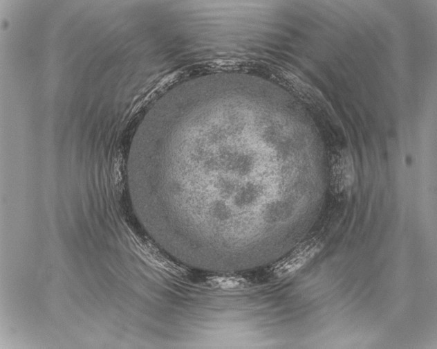 X0000059090654200510172056