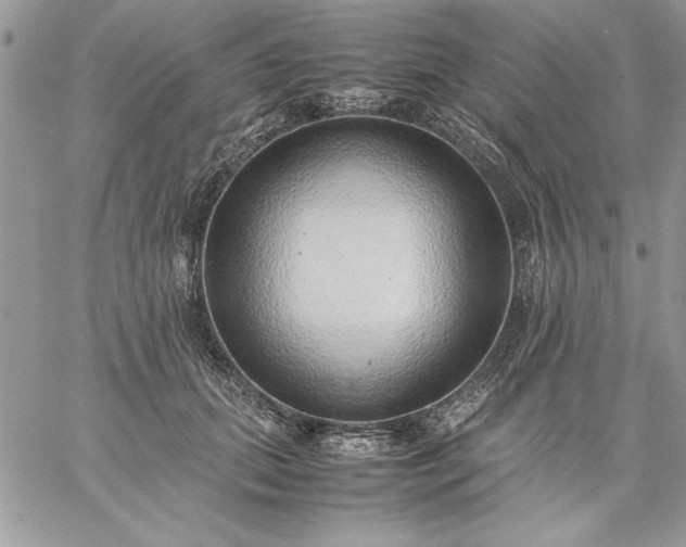 X0000059090655200510172056