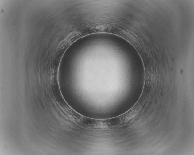 X0000059090656200510172056