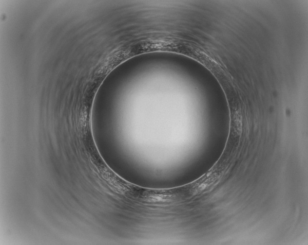 X0000059090657200510172056