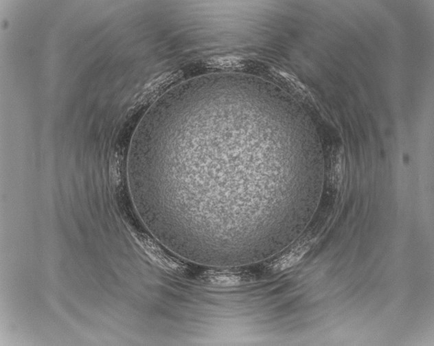 X0000059090658200510172056