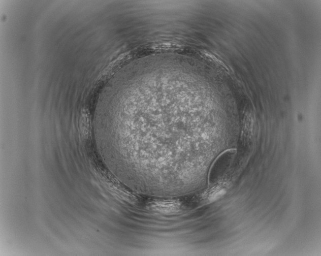 X0000059090659200510172056