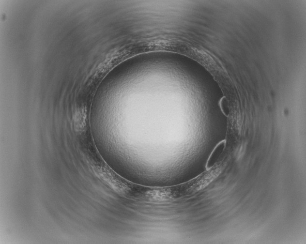 X0000059090660200510172056