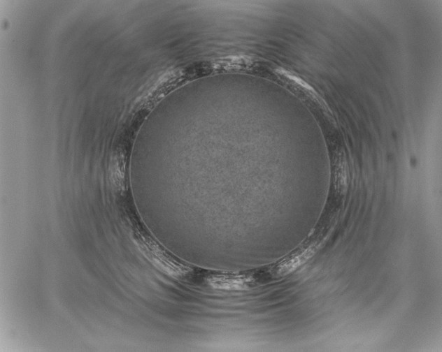 X0000059090661200510172056