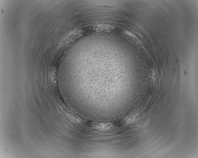 X0000059090663200510172056