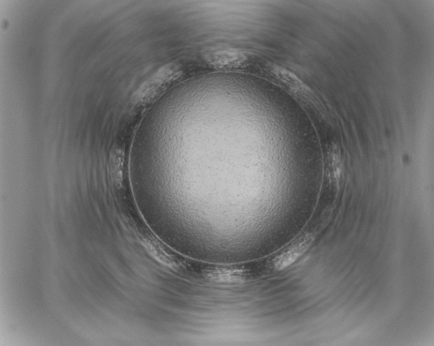 X0000059090664200510172056