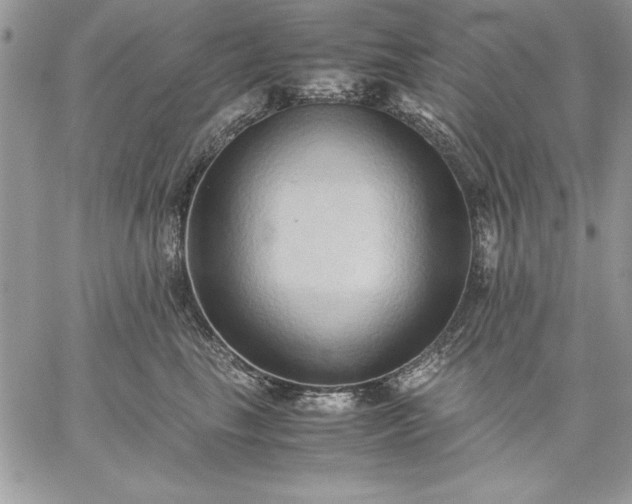 X0000059090665200510172056