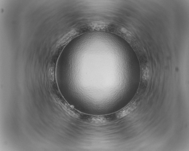 X0000059090666200510172056