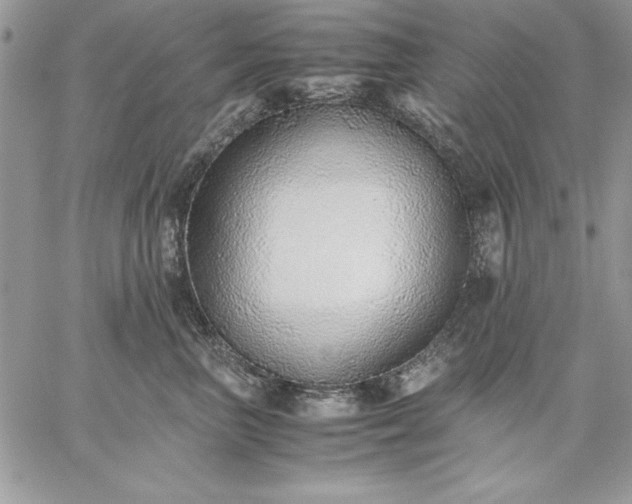 X0000059090667200510172056