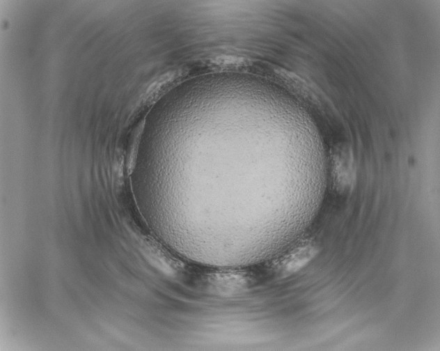 X0000059090668200510172056