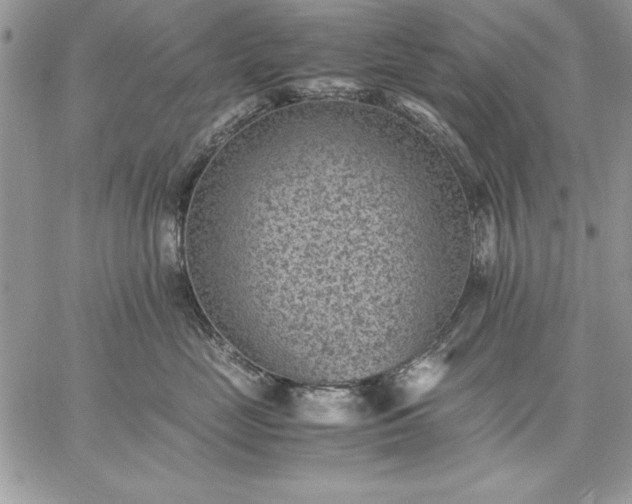 X0000059090669200510172056