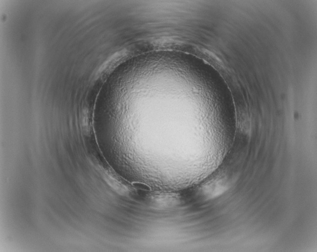 X0000059090670200510172056