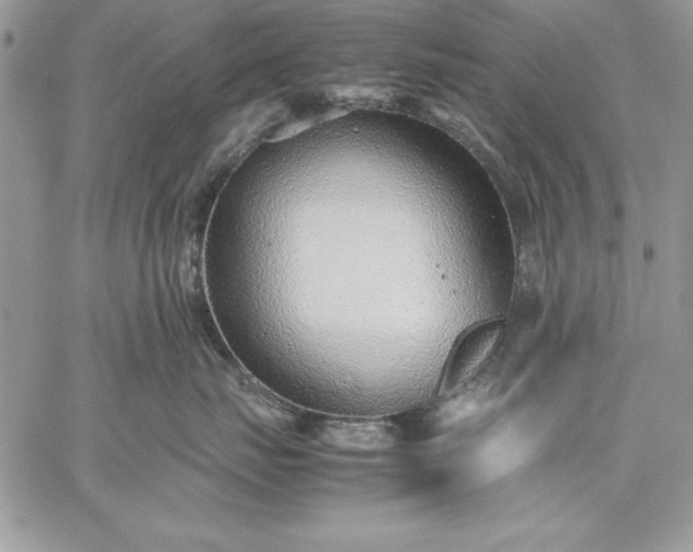 X0000059090671200510172056