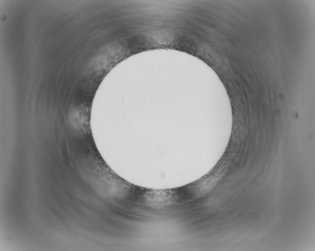 X0000059090672200510172056