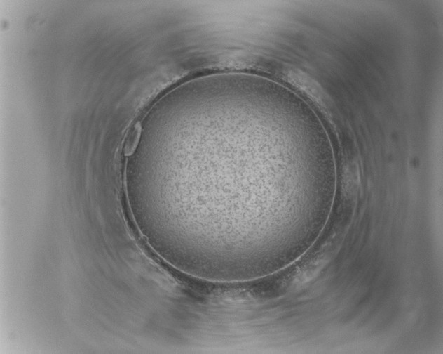 X0000059090673200510172055