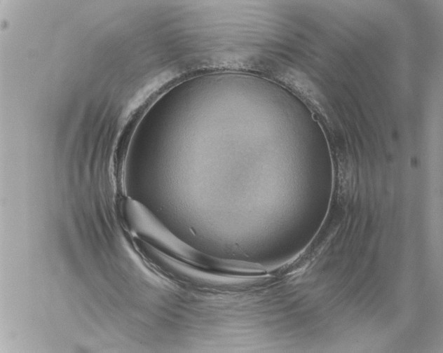 X0000059090674200510172055