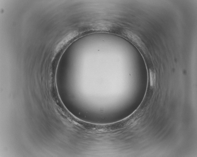 X0000059090675200510172055