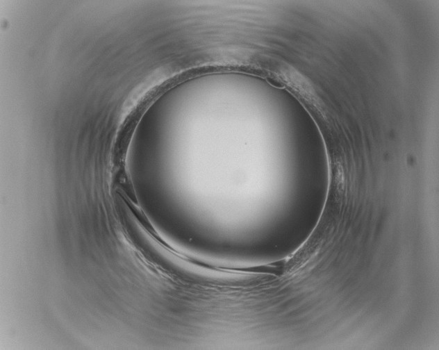 X0000059090676200510172055