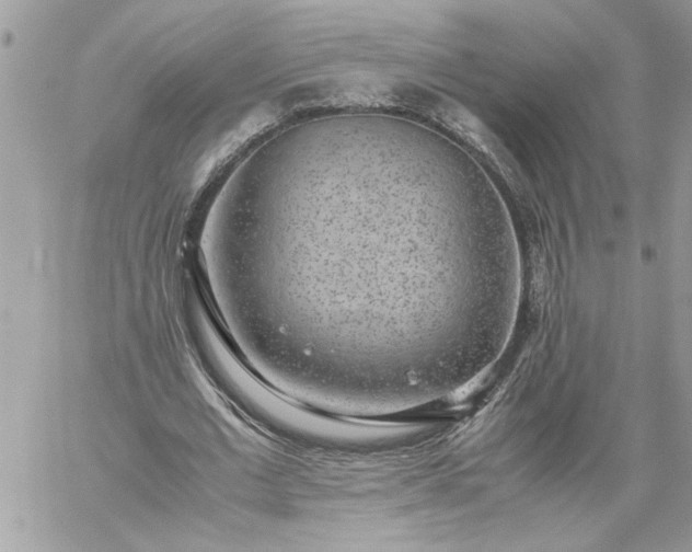 X0000059090677200510172055