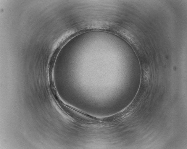 X0000059090678200510172055