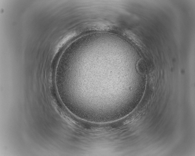 X0000059090679200510172055