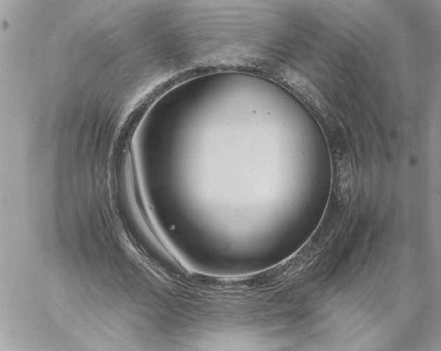 X0000059090680200510172055