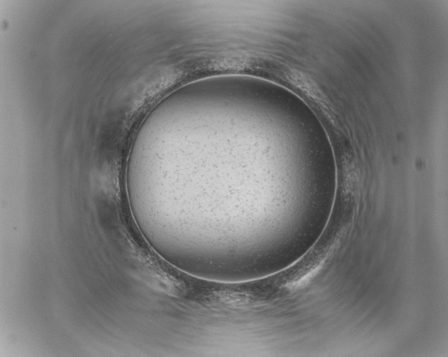 X0000059090681200510172055