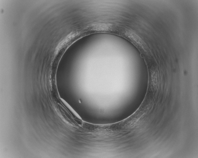 X0000059090682200510172055