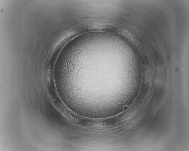 X0000059090683200510172055