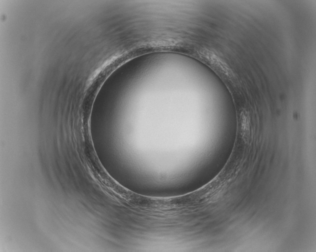 X0000059090684200510172055