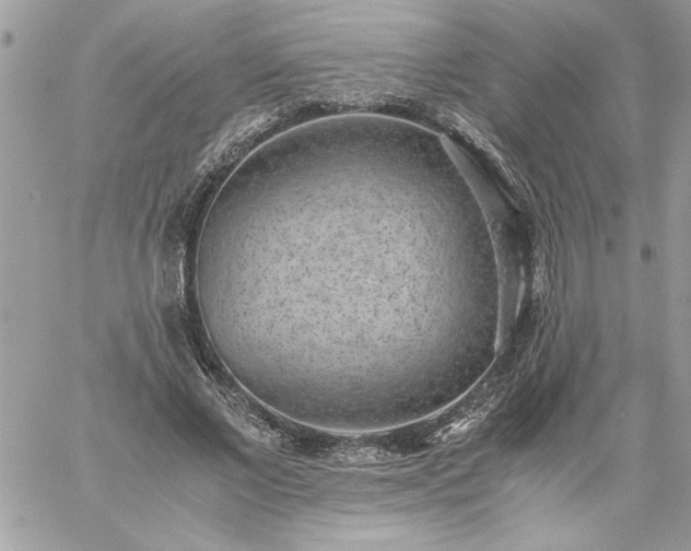 X0000059090685200510172055